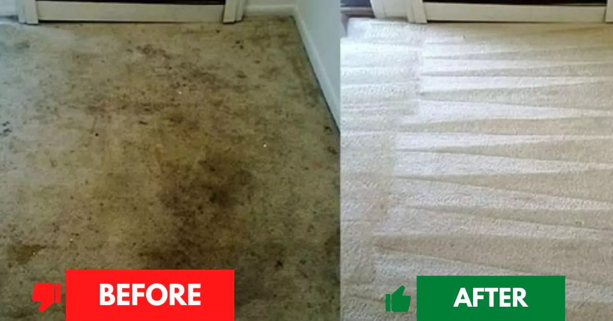 Before and After Carpet