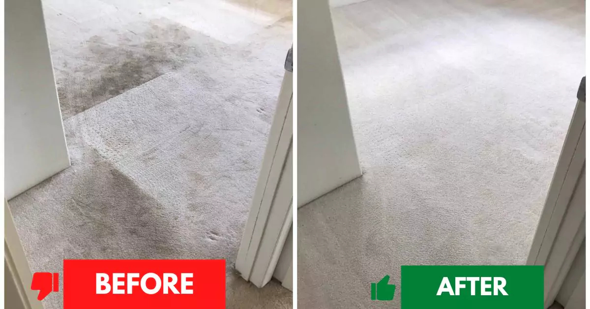 Before and After Carpets