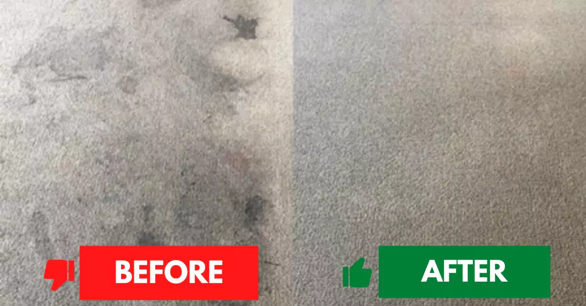 Carpet Before and After