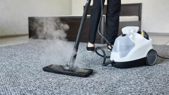 Same Day Carpet Steam Cleaning